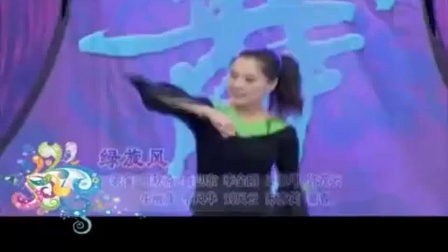 杨艺广场舞《绿旋风》简单好学教学视频免费高清下载下载