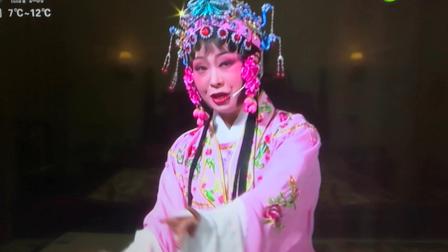 锡剧《珍珠塔》《前园会》刘建平和杨琴梅演