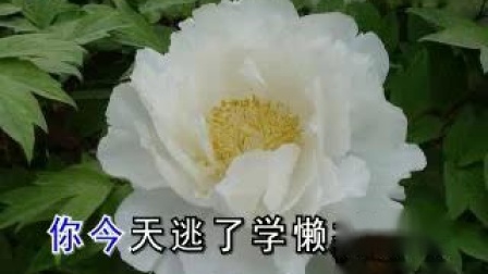 晋剧《教子》选段 戏曲mp3下载
