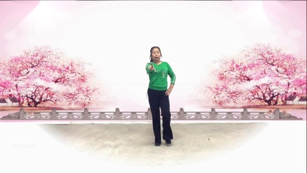 吉美广场舞《你的样子》好听好看简单易学适合初学者下载