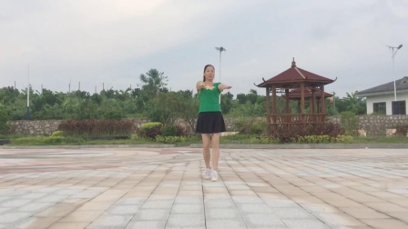 广场舞《爱上你就是一个错》教学高清视频免