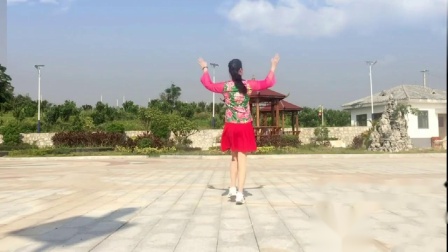 广场舞《旺旺驾到》简单好学教学高清视频免