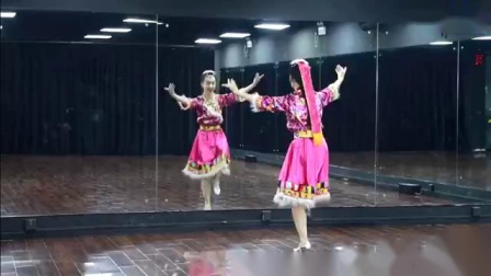 藏族舞《藏族情歌》糖豆广场舞课堂  教学视