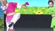 传统东北二人转《放风筝》精彩绝伦绘声绘色