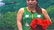 二人转《阴魂阵》侯占芳 刘香菊演唱 戏曲mp