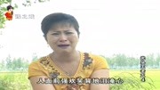 民间小调《光头王老五》这些年婆婆她逼我去