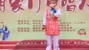绿色二人转《靠山调》表演 赵永春 戏曲mp3