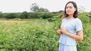民间小调《不忘阶级苦》视频高清下载