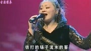 经典二人转《人生一世不容易》何晓影演唱 