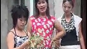 安徽民间小调《岳母娘淹姐夫》戏曲高清视频