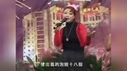 民间小调《泡妞十八招》全集戏曲mp3免费下