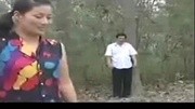 安徽民间小调 《花心爹孬种儿子》戏曲高清