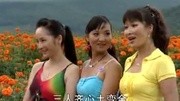 安徽民间小调全集《婆娘爽歪歪》01戏曲mp3
