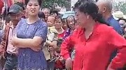 安徽民间小调全集 《母老虎骂街》下集 戏曲