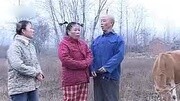 民间小调 《傻子放牛》戏曲mp3免费下载