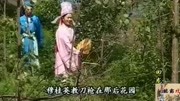 民间小调《王华买爹》戏曲高清视频mp3免费