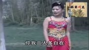 民间小调《摘牡丹》戏曲高清视频mp4免费下