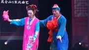 二人转《赵石匠结婚》闫丰 杨宏伟演唱 名家名段欣赏高清版免费下载下载