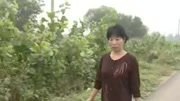 安徽民间小调搞笑大全《姐夫小姨谈恋爱》上