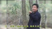 安徽民间小调《老婆婆吃鸭子》全集 戏曲高