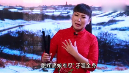 河南坠子《报母恩》句句感人 坠子皇后 胡中
