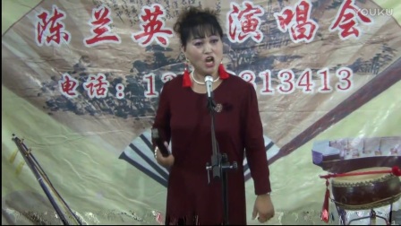 河南坠子《天劈不孝子》全场 陈兰英下载