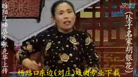 河南坠子《恶媳妇打婆婆》全集 胡银花下载
