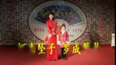 河南坠子《罗成算卦》全场 焦军芳下载