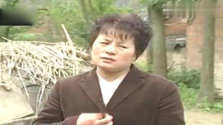 刘晓燕民间小调《三妯娌骂架》不养老人终于