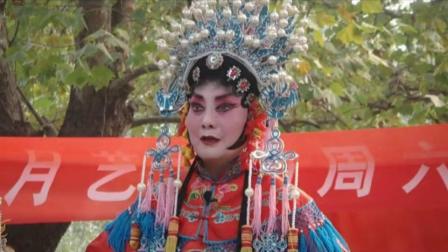豫剧《打金枝》高清