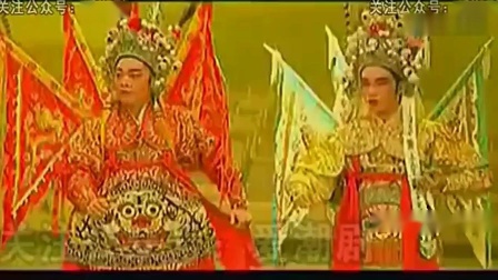 潮剧全剧《狸猫换太子》广东潮剧院一团