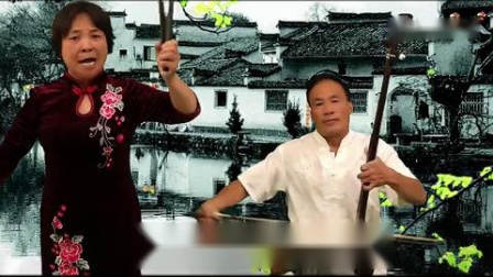 河南坠子戏《双秃闹房》太够味了 段明花演
