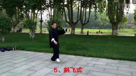 杨式太极拳精简二十八式