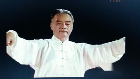 马虹陈氏太极拳83式片段