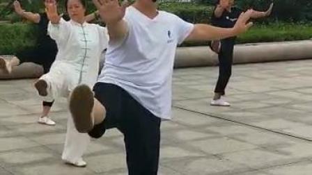 杨氏37式太极拳
