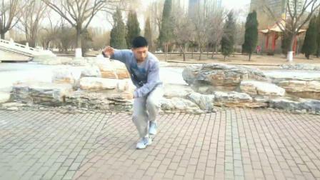 陈氏太极拳