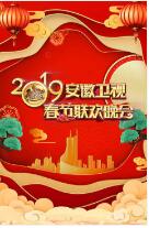 2019安徽卫视春节联欢晚会下载