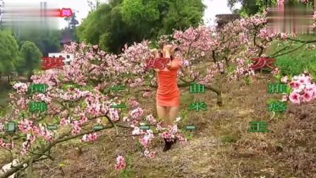 米悠悠广场舞《嫁人要嫁灰太郎》搞笑版下载