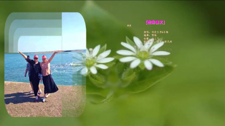 2019云莲飞舞广场舞《姐妹情义》