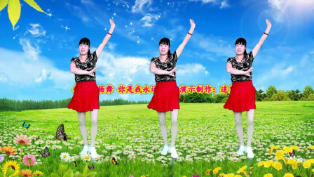 广场舞《你是我永远的痛》32步附教学