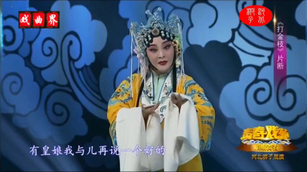 河北梆子《打金枝》皇母唱段 演唱 杨娟