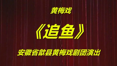 黄梅戏《追鱼》完整版