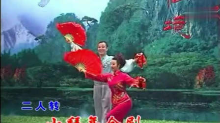 孙淑梅 张野一曲东北二人转《小拜年》唱功好欢快热闹下载