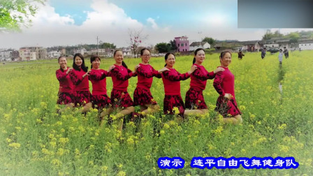自由集体排舞广场舞《又见雪花飞》踏步步子