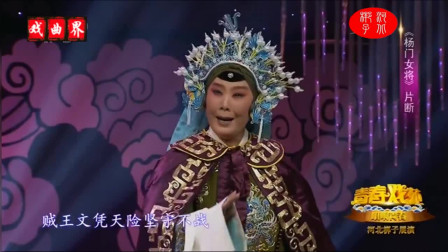 河北梆子《杨门女将》片段 表演 刘晓云