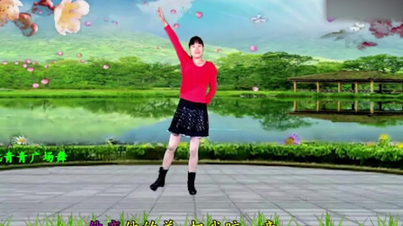 广场舞《白眼狼》附背面教学 好学好看