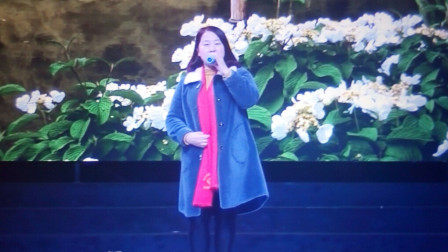 扬剧《梁祝 英台说媒》何正玉 演唱