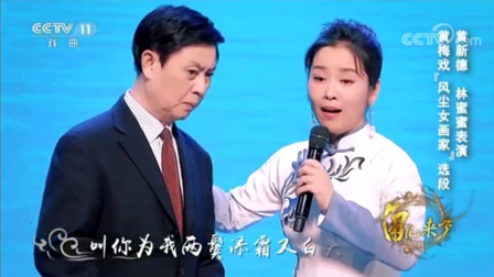 黄梅戏《风尘女画家》选段  黄新德 林蜜蜜 