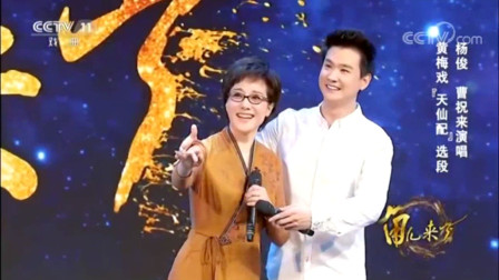 黄梅戏 《天仙配》选段   杨俊  曹祝来演唱下载