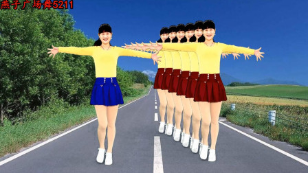 燕子广场舞《温柔的大美妞dj》动感现代舞风